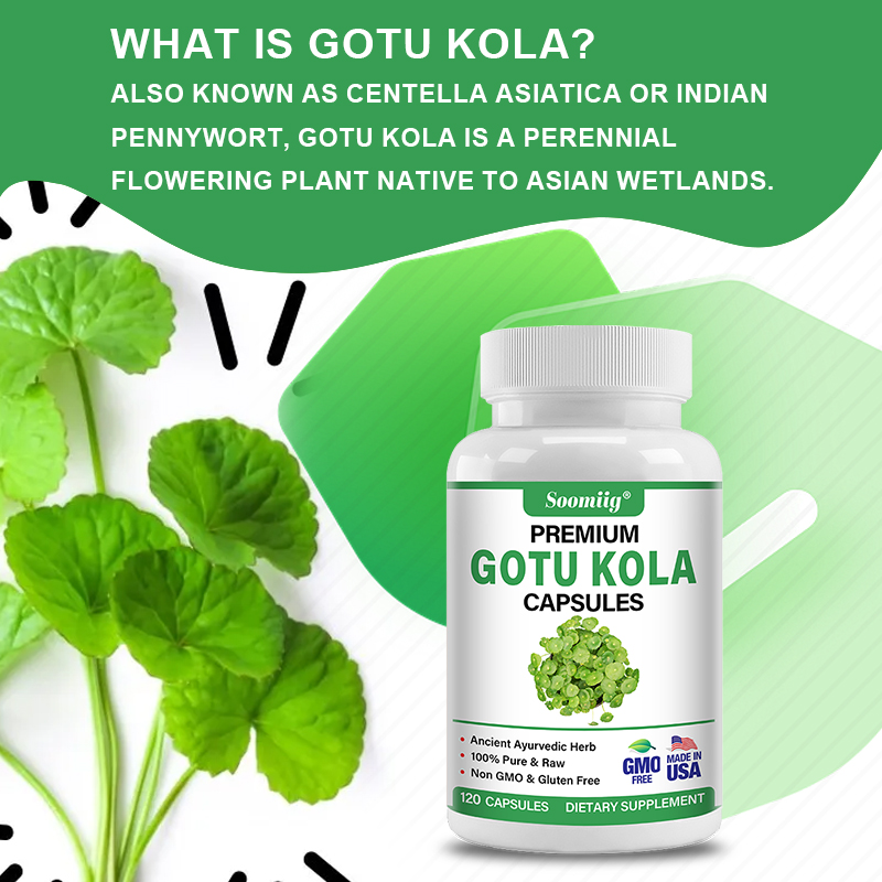 Gotu Kola Capsules 1300mg - Gi - Ginkgo Biloba Extract recension och pris