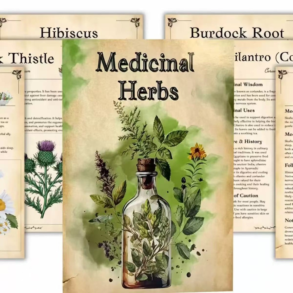 Medicinal Herbs: Visual Guide  - Herbal Wellness Remedy recension och pris